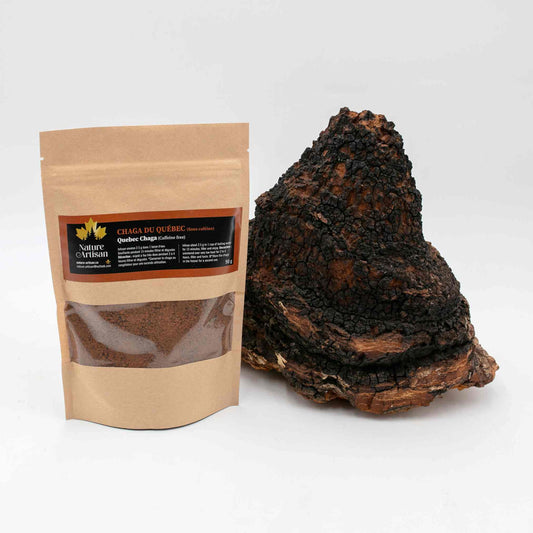 Herbal tea Quebec chaga Nature Artisan with a big chaga mushroom.