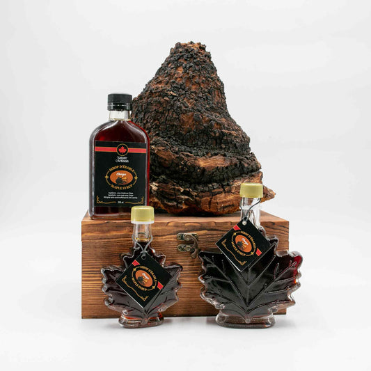 Infused maple syrup chaga Nature Artisan - Trio - with a big chaga mushroom.